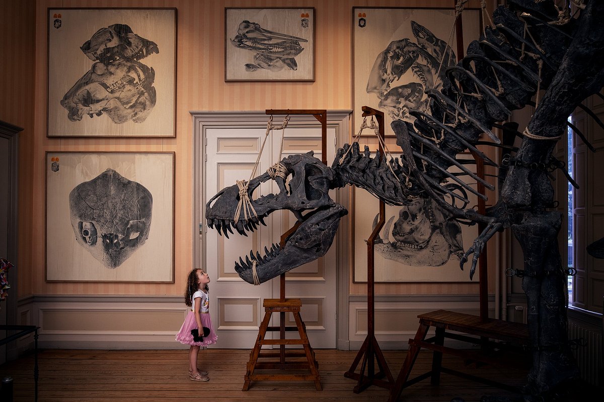 Art Zoo, 1