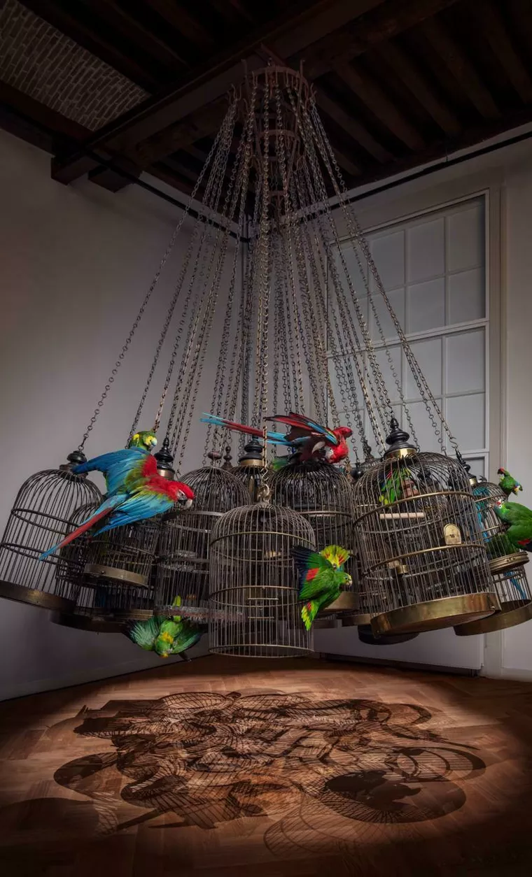 Art Zoo
